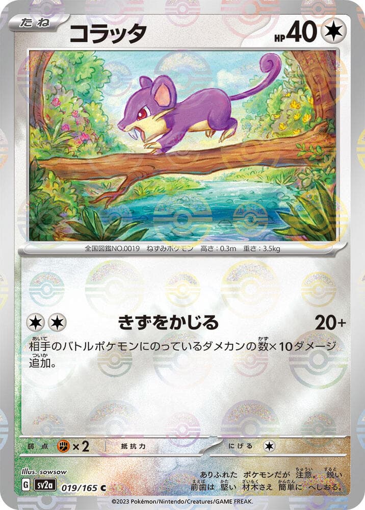 Rattata Poke Ball Pattern Holofoil