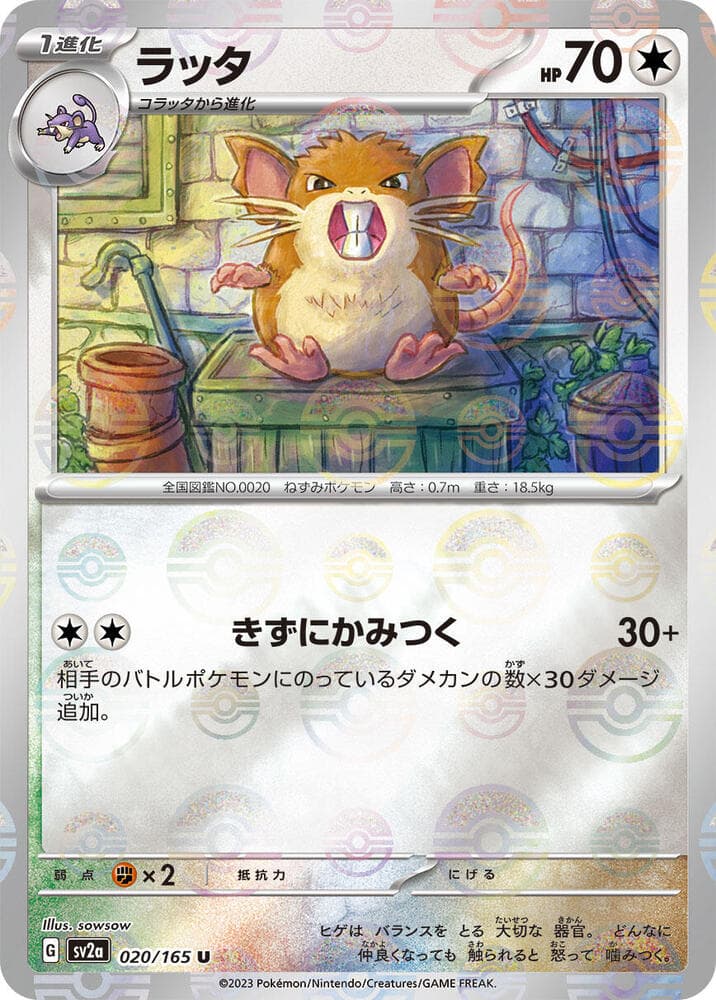 Raticate Poke Ball Pattern Holofoil
