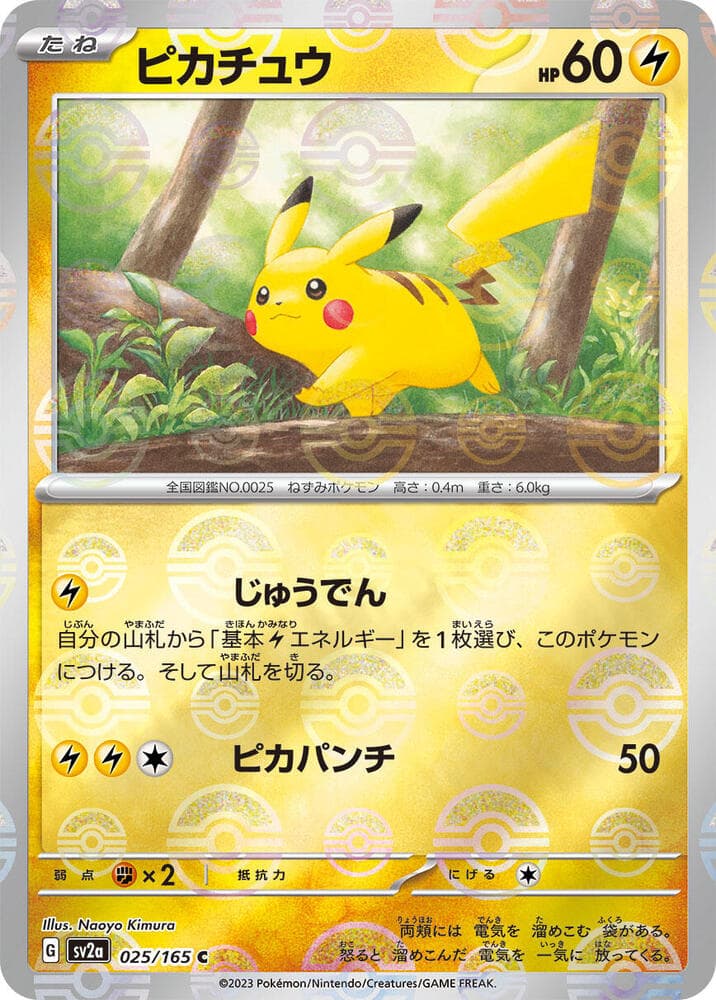 Pikachu Holofoil