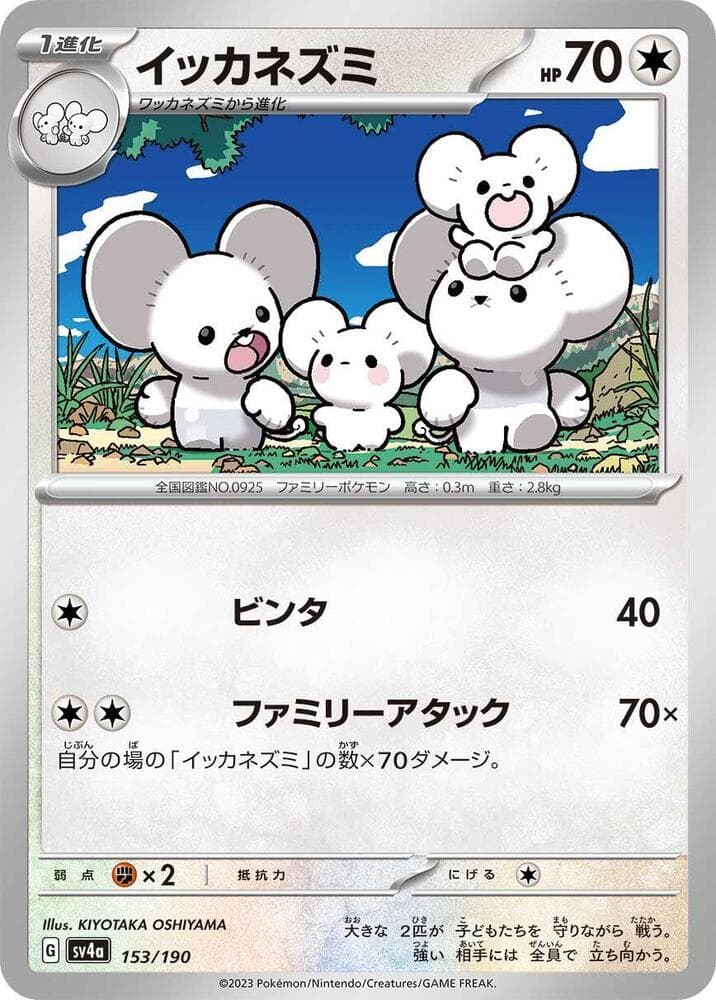 Maushold Holofoil