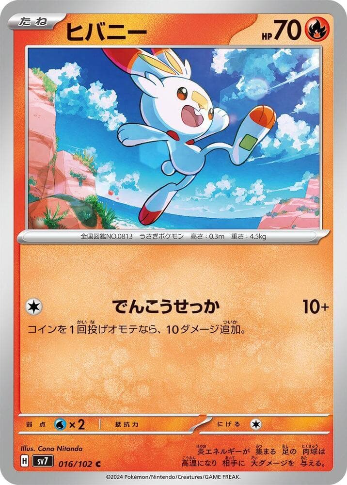 Scorbunny, catalogue front