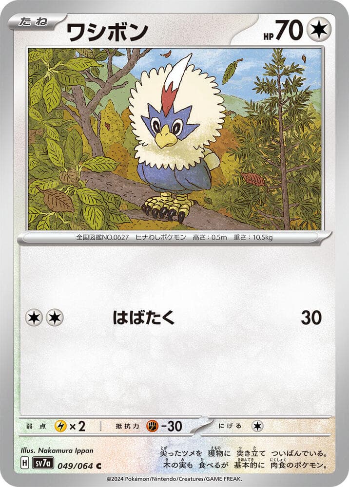 Rufflet, catalogue front