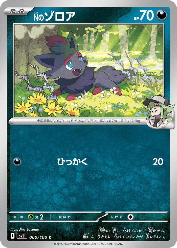 N's Zorua, catalogue front