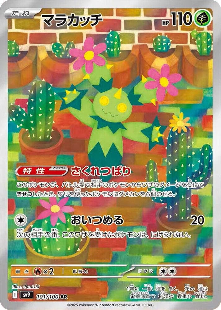 Maractus, catalogue front