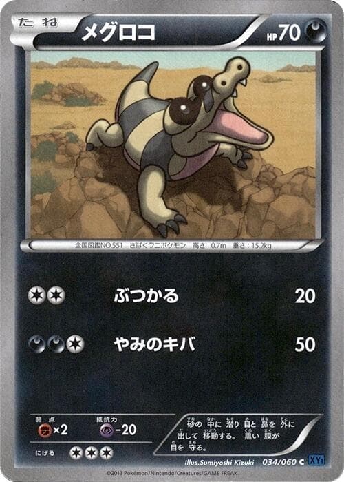Sandile 1st Edition