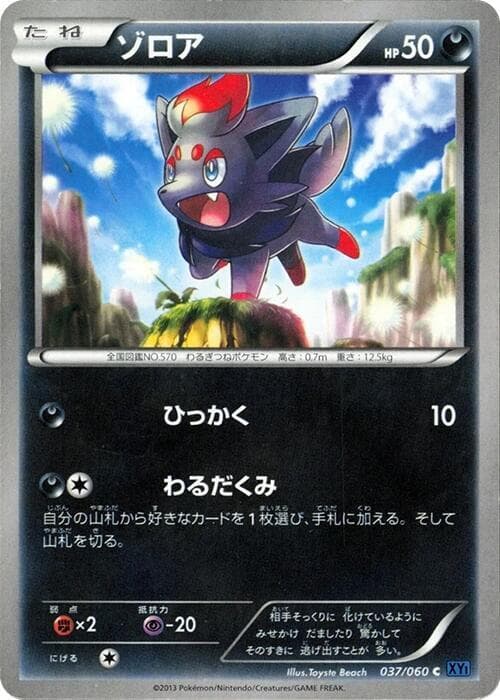 Zorua 1st Edition