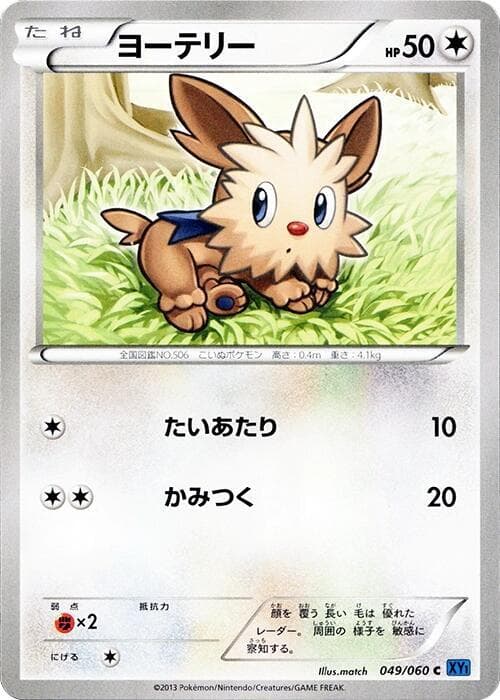 Lillipup 1st Edition