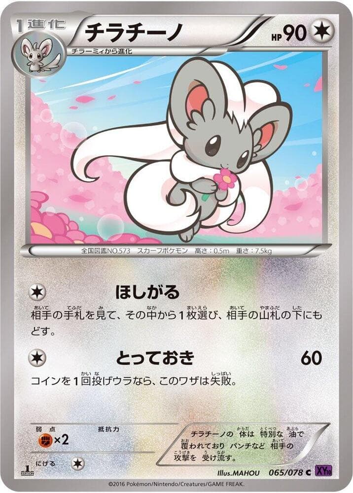 Cinccino 1st Edition