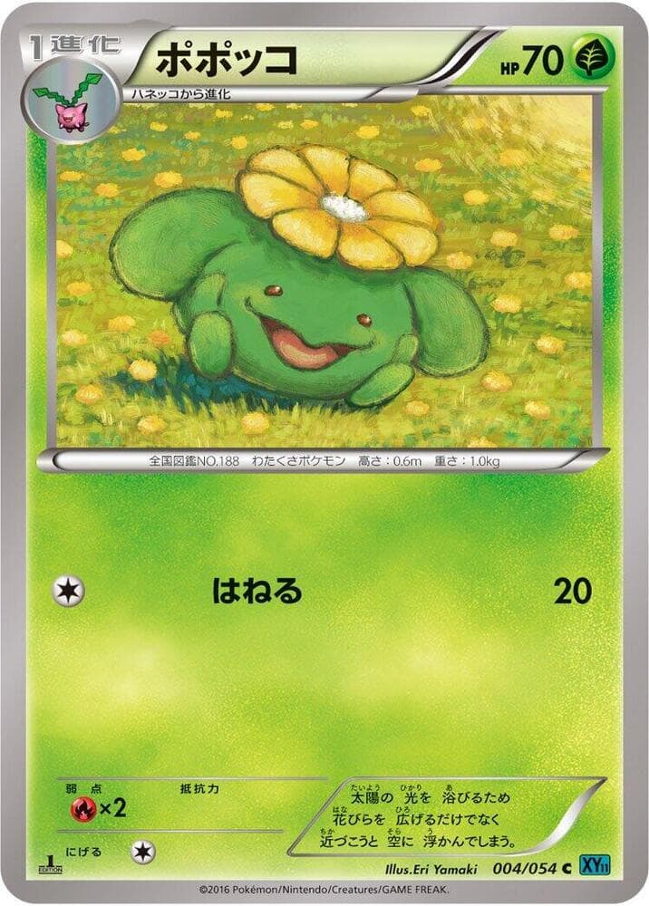 Skiploom 1st Edition, catalogue front