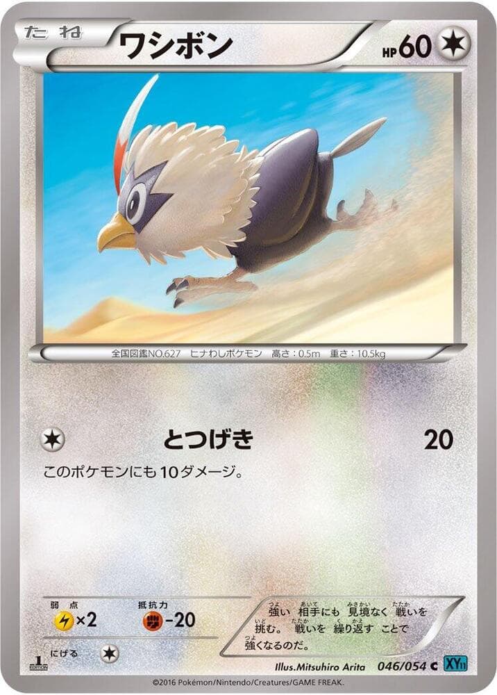 Rufflet Unlimited, catalogue front