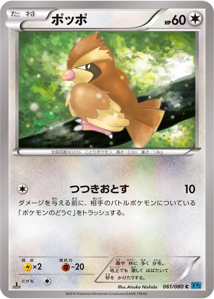 Pidgey 1st Edition, catalogue front