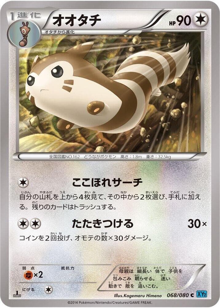 Furret 1st Edition, catalogue front