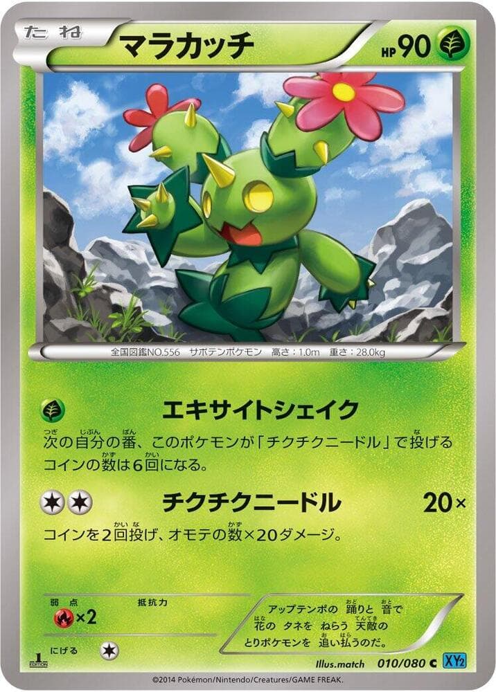 Maractus Unlimited, catalogue front