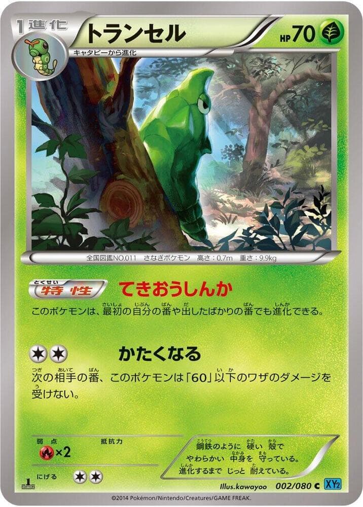 Metapod Unlimited, catalogue front