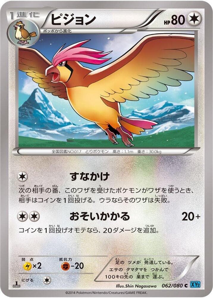 Pidgeotto Unlimited, catalogue front