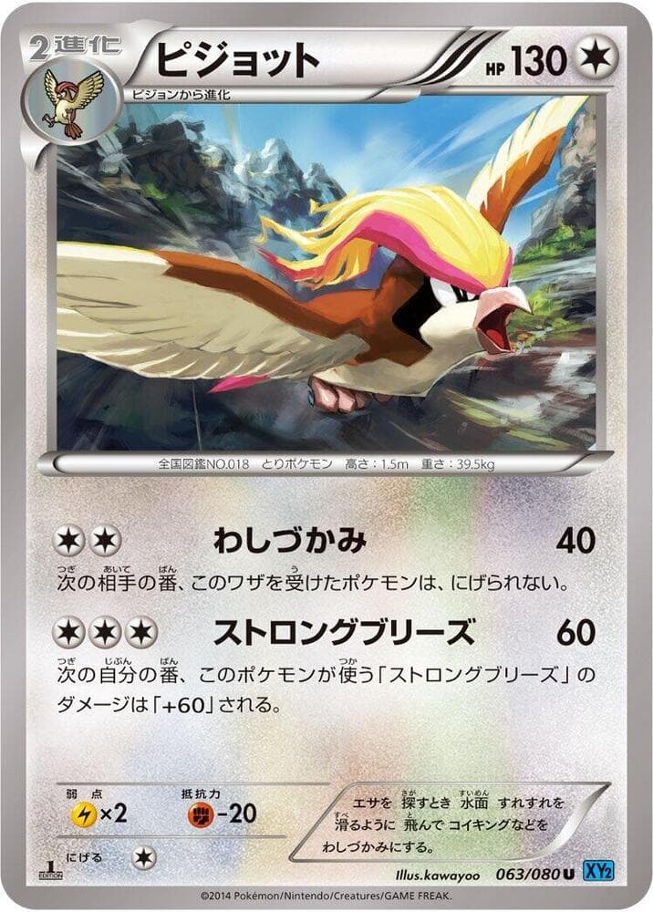 Pidgeot Unlimited, catalogue front