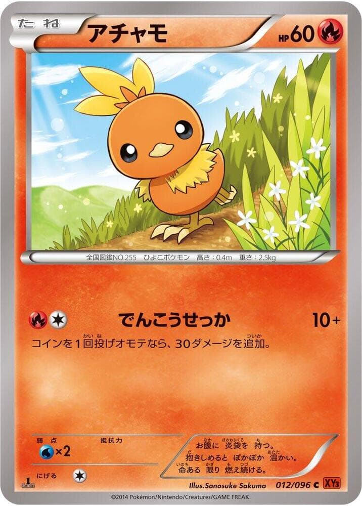 Torchic 1st Edition, catalogue front