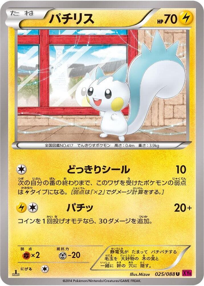 Pachirisu 1st Edition