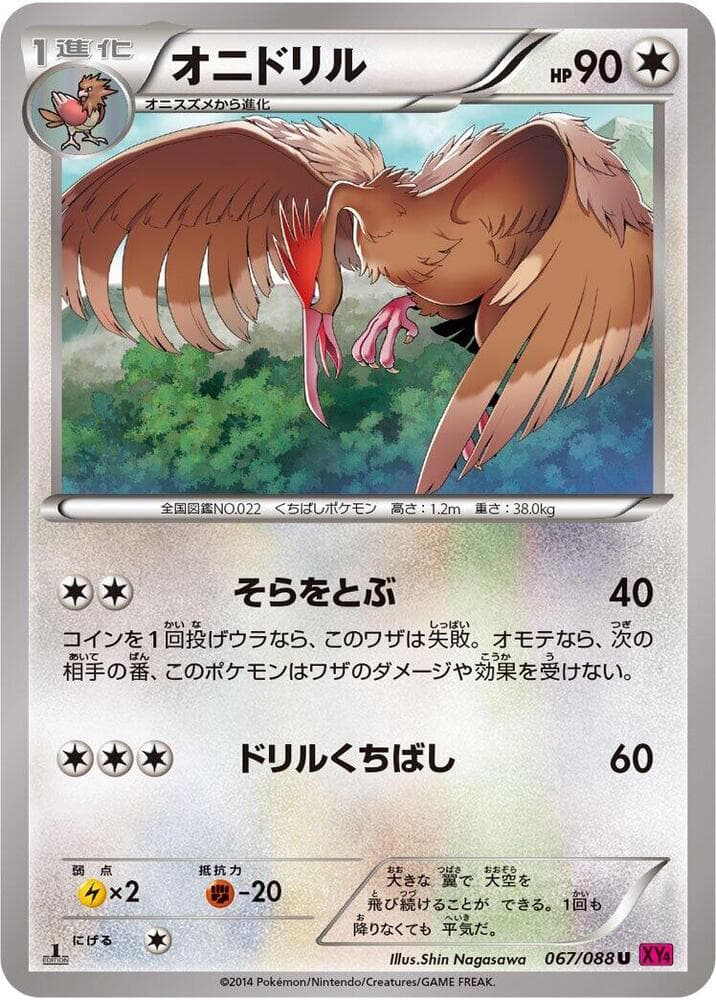 Fearow 1st Edition