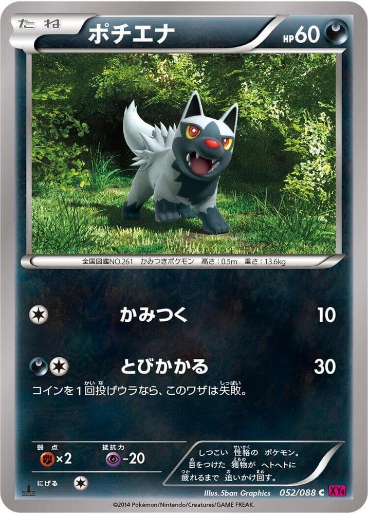 Poochyena Unlimited, catalogue front
