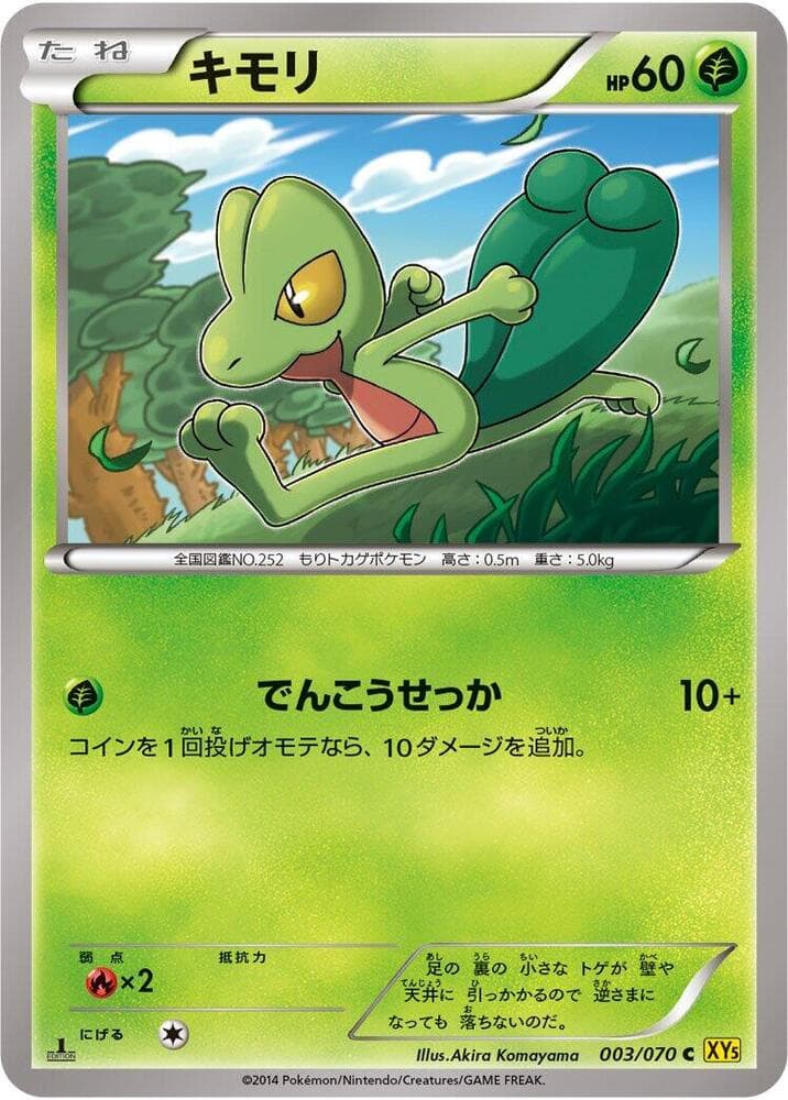 Treecko 1st Edition, catalogue front