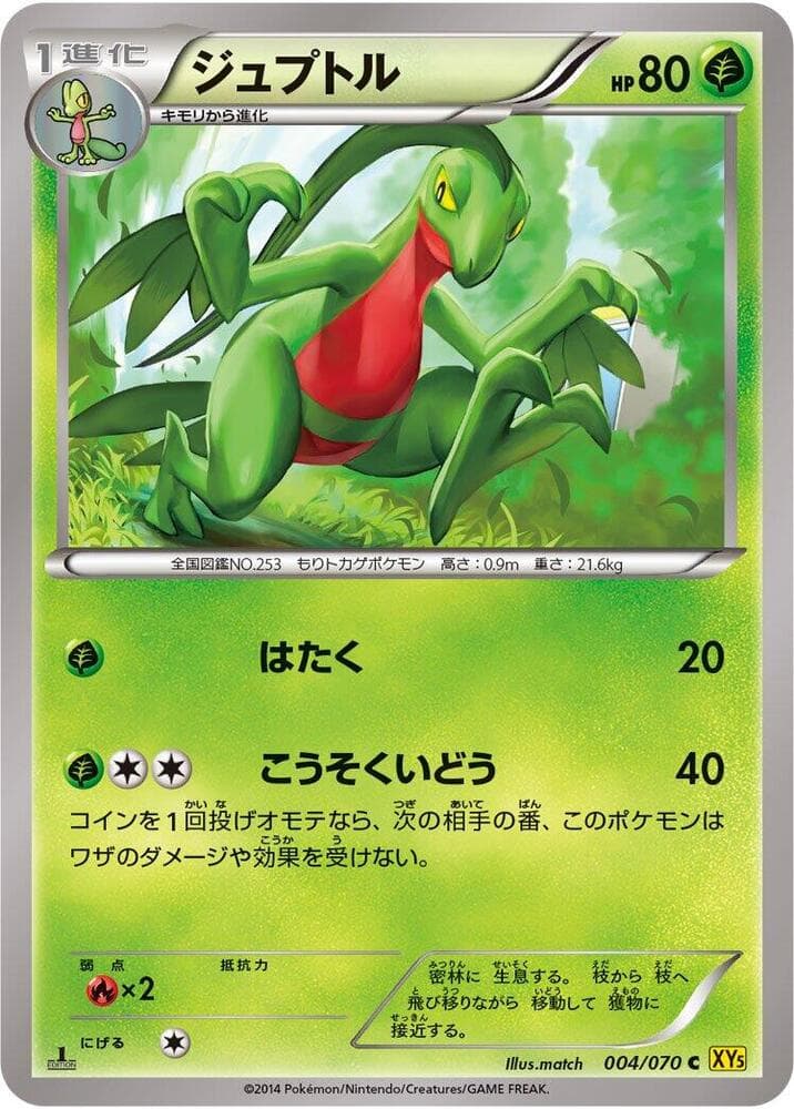 Grovyle 1st Edition