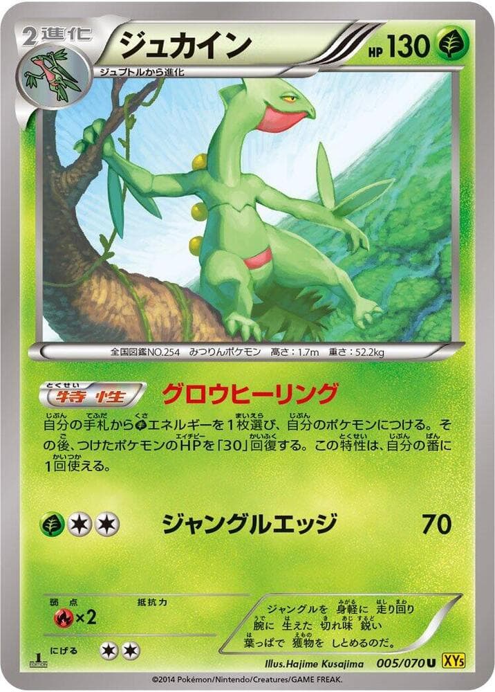 Sceptile 1st Edition, catalogue front