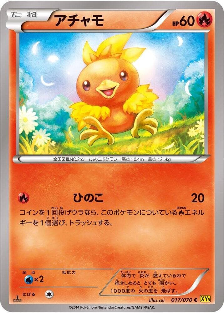 Torchic 1st Edition