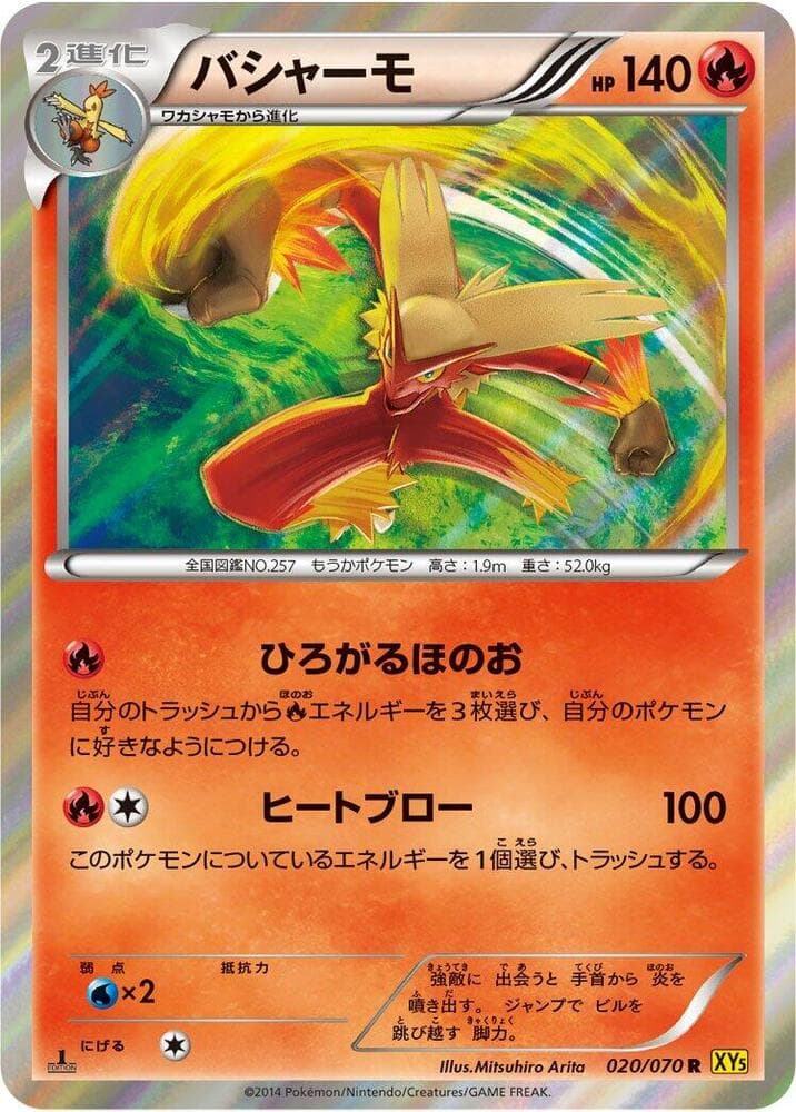 Blaziken 1st Edition Holofoil