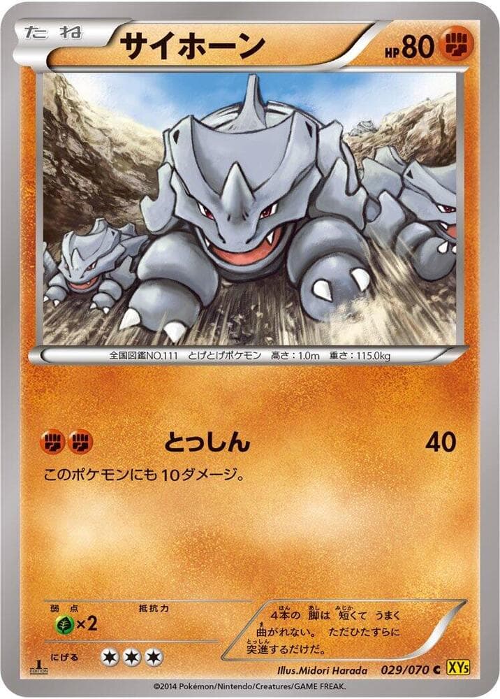 Rhyhorn 1st Edition, catalogue front