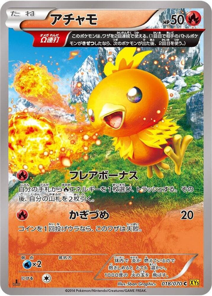 Torchic Unlimited, catalogue front