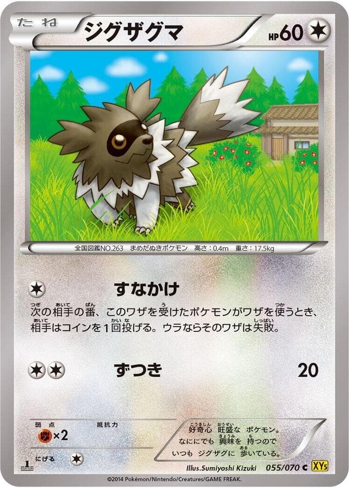 Zigzagoon Unlimited, catalogue front