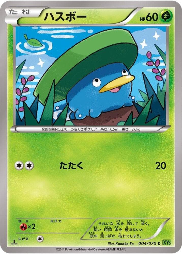 Lotad 1st Edition
