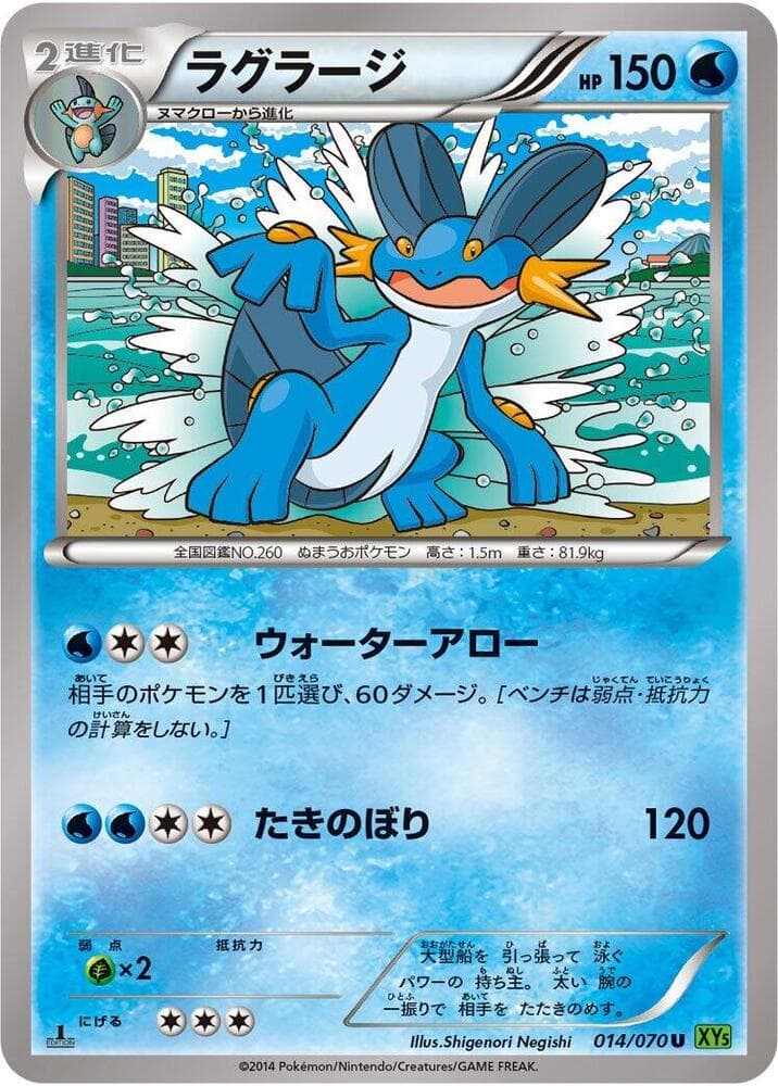 Swampert 1st Edition