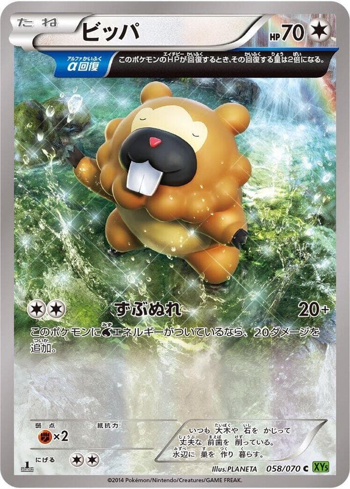 Bidoof 1st Edition