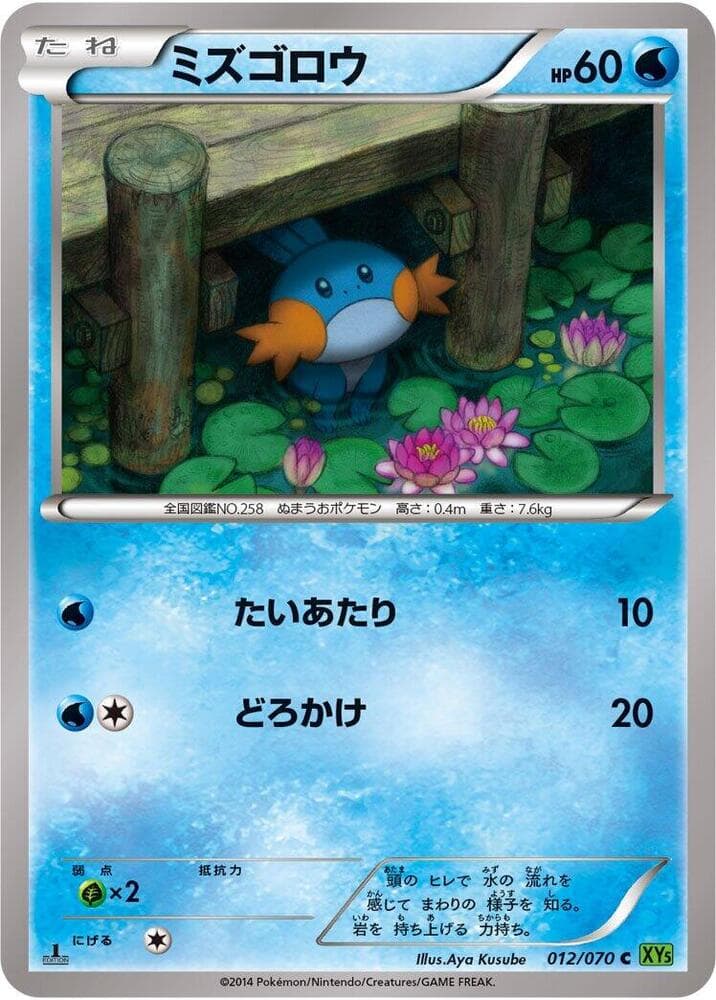 Mudkip Unlimited, catalogue front