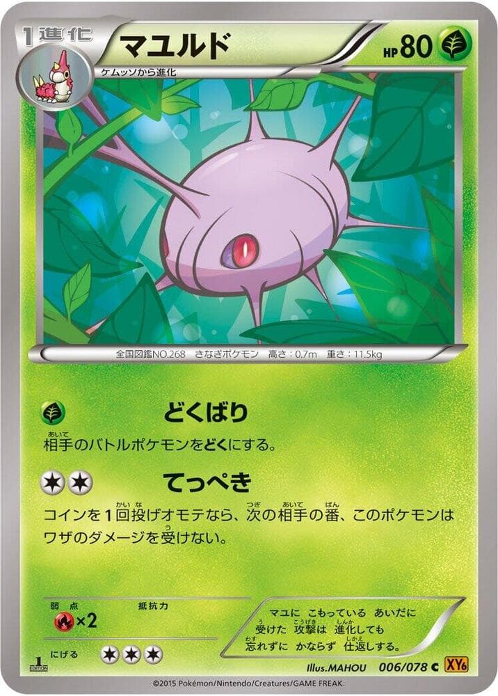 Cascoon 1st Edition