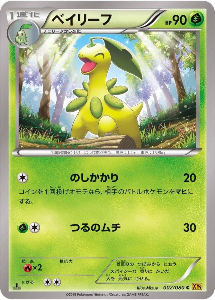 Bayleef 1st Edition