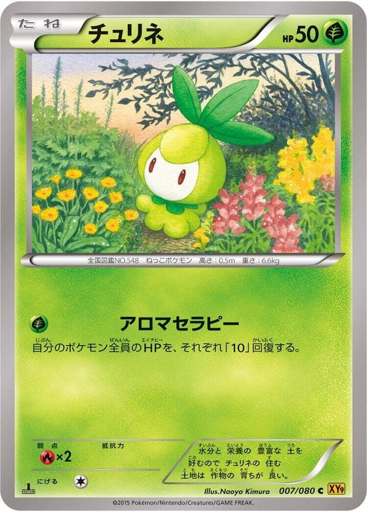 Petilil 1st Edition, catalogue front