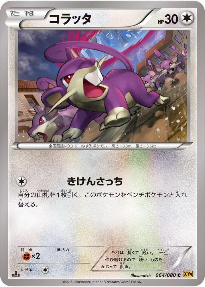 Rattata 1st Edition, catalogue front