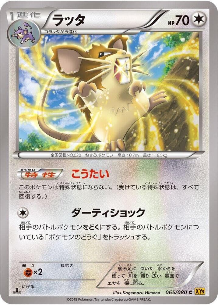 Raticate 1st Edition, catalogue front