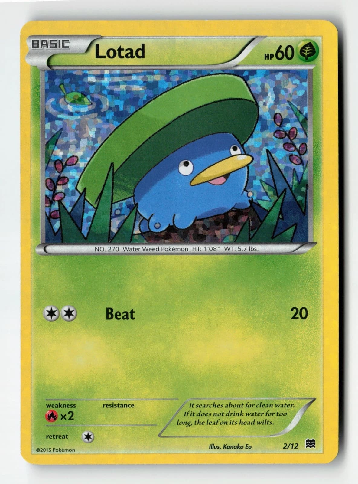 Lotad