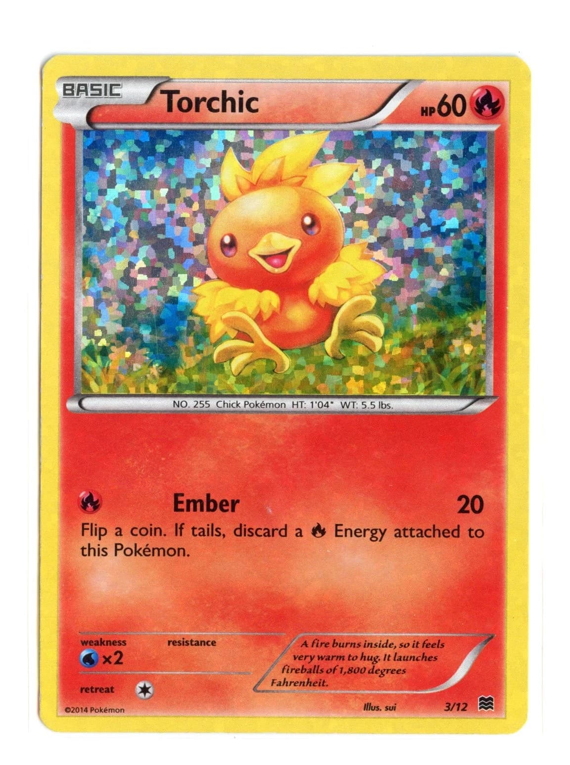 Torchic