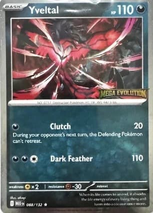 Yveltal Prerelease