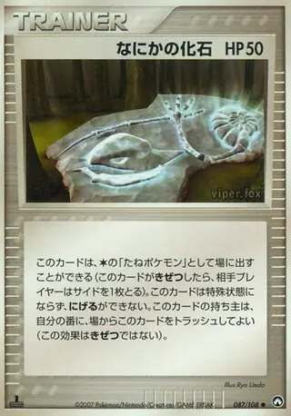 Mysterious Fossil 1st Edition