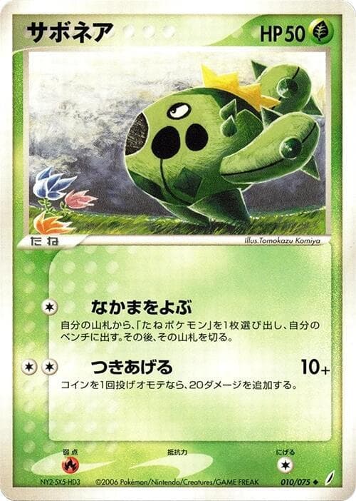 Cacnea 1st Edition