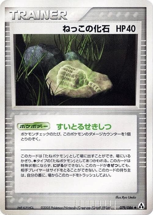 Root Fossil Unlimited