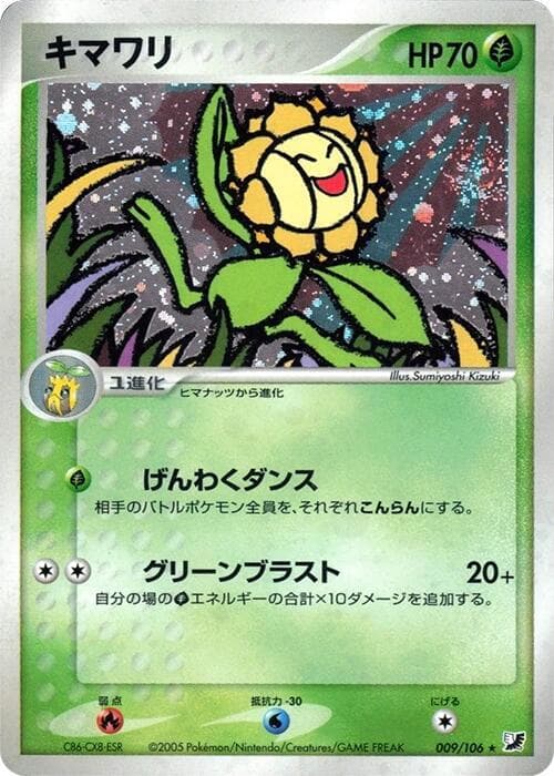 Sunflora 1st Edition Holofoil