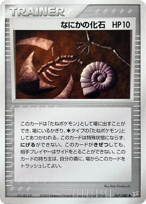 Mysterious Fossil Unlimited
