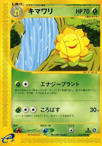Sunflora 1st Edition